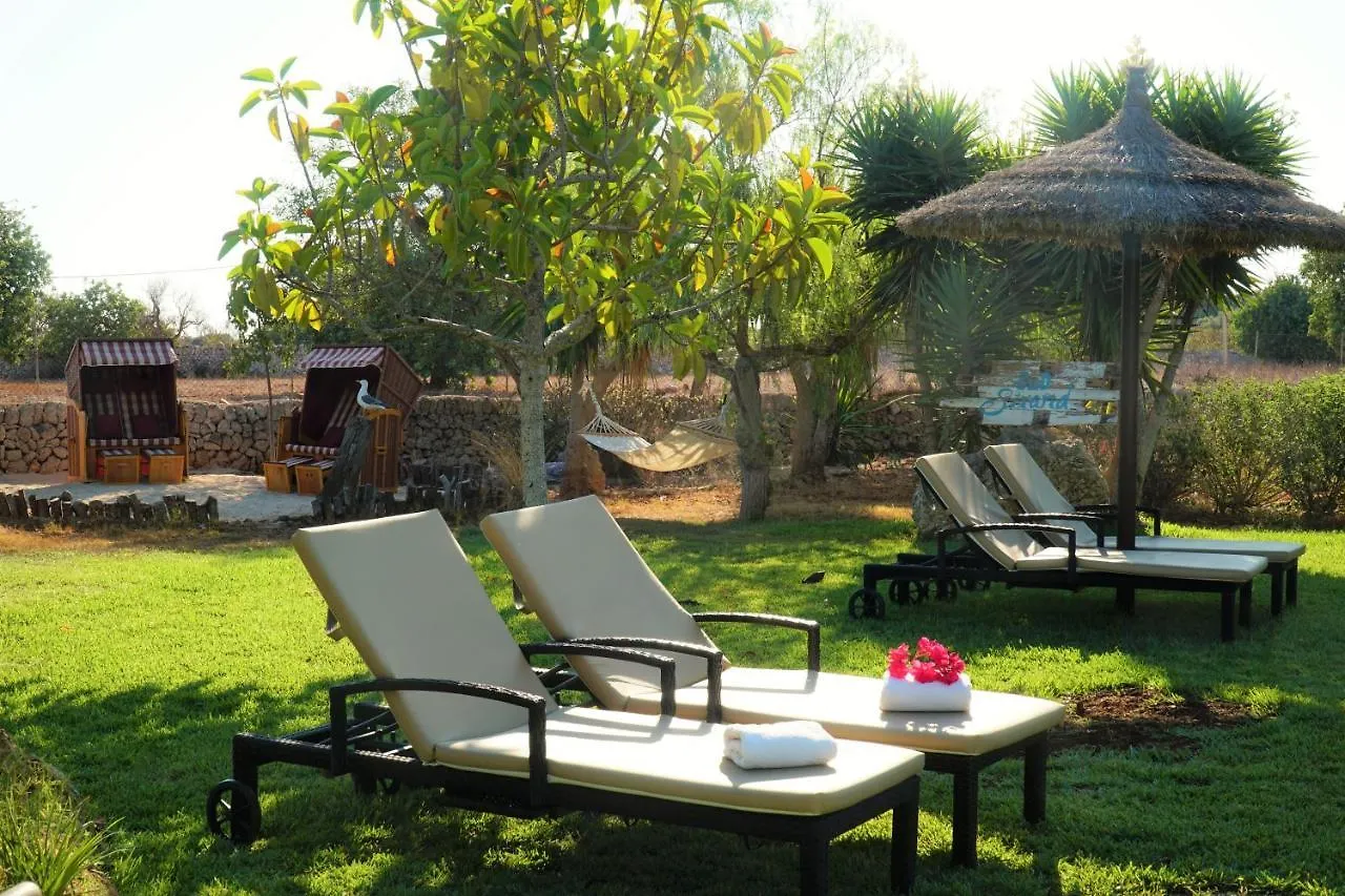 Hotel Agroturismo Finca Sa Tanca Cala D´Or Espagne